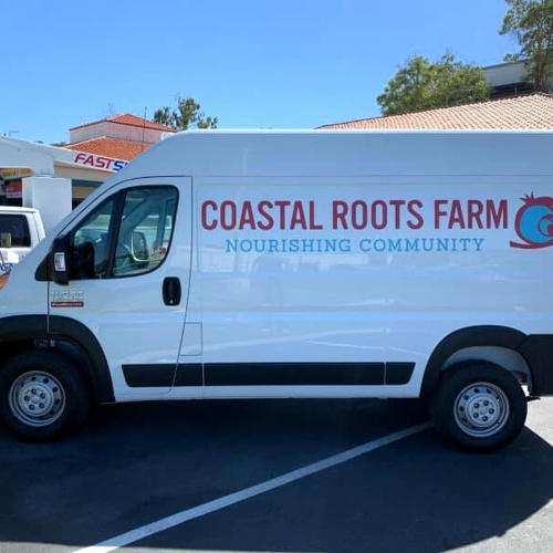 Vehicle Graphics